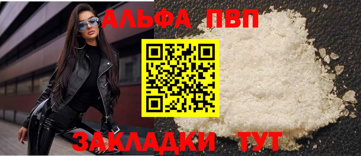Alfa_PVP СК КРИС Краснодар