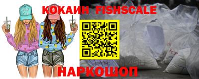 мет Кингисепп