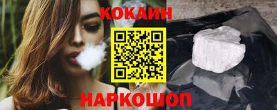 мет Кингисепп