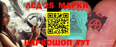 мет Кингисепп