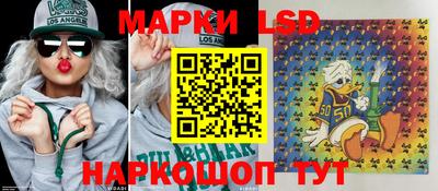 мет Кингисепп