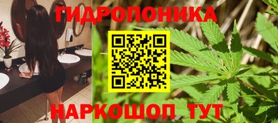 сатива Кимры