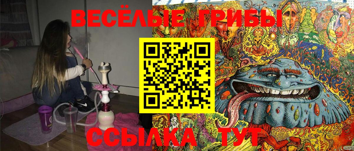 Краснодар  Псилоцибиновые грибы Psilocybine cubensis  Псилоцибиновые грибы мухоморы  Вход с VPN 